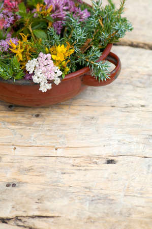 Blossoms and twigs in a bowlの写真素材