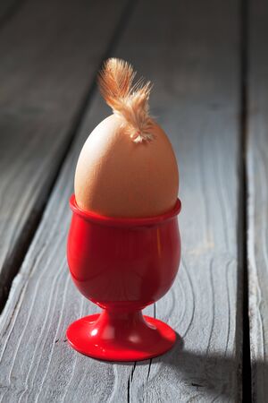 Egg with feather on top in egg cup on wooden tableの写真素材