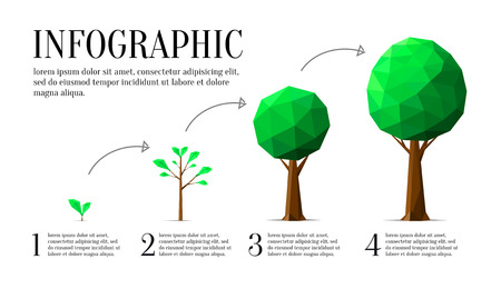 Infographic of ecology low poly style. 4 steps of growth of a treeのイラスト素材