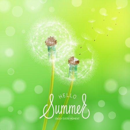 Dandelion Flower Background and Summer Lettering. Vector Illustration EPS10のイラスト素材