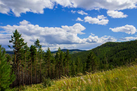 Scenic view of mountains, forests and valleys from mountain peak