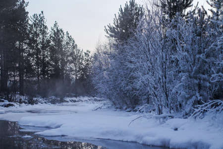 Hot spring and winter forestの写真素材