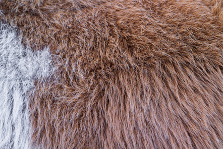 cow fur full frame
