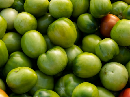 Green tomatoes background. Top view of green tomatoes background. Green tomatoes background.の写真素材