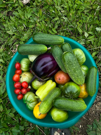 Fresh vegetables in a bowl on the grass. View from above.の写真素材
