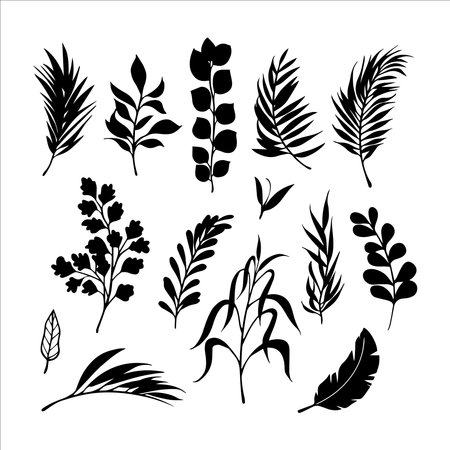 set Various types of leaves. Vector. Suitable for use as motif elements, templates, backgrounds, greeting cards, invitation cards and can also beautify your design elementsのイラスト素材