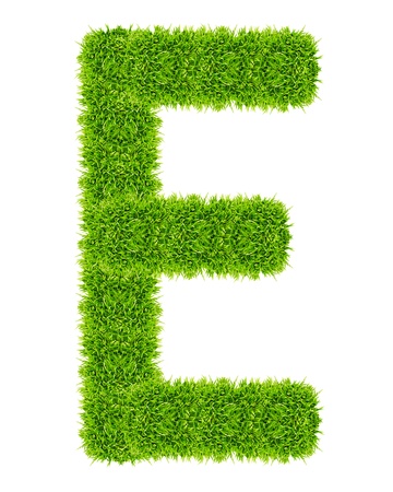 green grass letter E Isolatedの写真素材