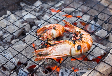 Grilled shrimp on the stoveの写真素材