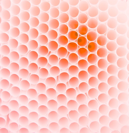 pattern of white straw for backgroundの写真素材