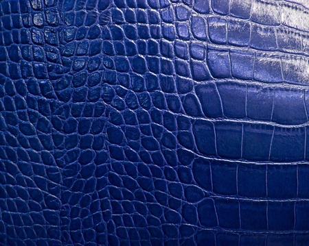 crocodile skin textureの写真素材