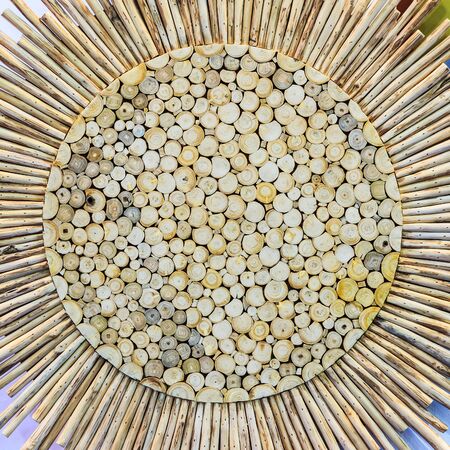 tree stump texture for backgroundの写真素材