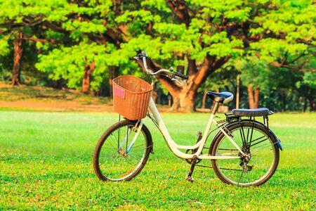bicycles in the parkの写真素材