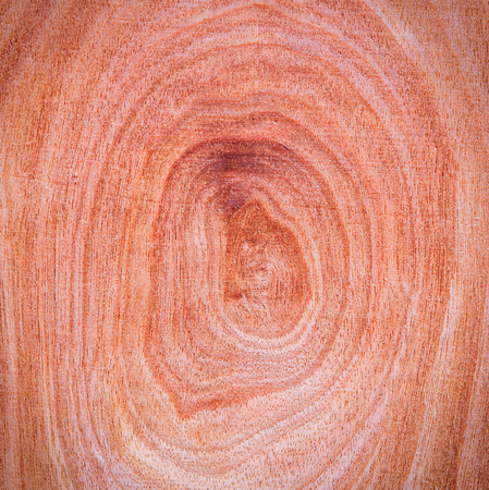 wood textureの写真素材