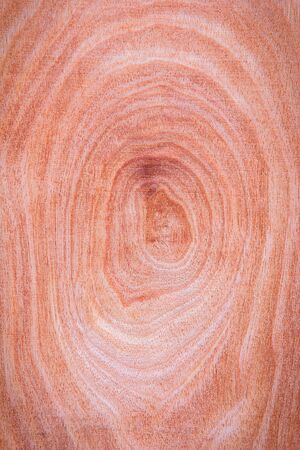 wood textureの写真素材