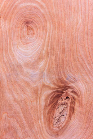 wood textureの写真素材