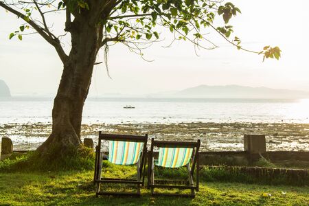beach chair under the treeの写真素材