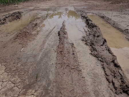 The road is bumpy.When the rains come rural.