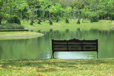 Empty benches in the park during the day.の写真素材