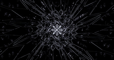 Intricate black and white design featuring geometric patterns