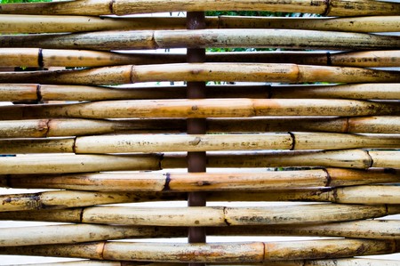 Bambooの写真素材