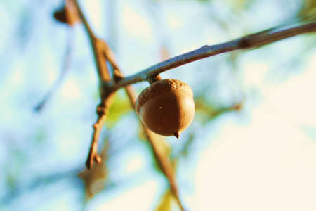 springの写真素材