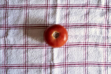 tomato on red and white checkered tableclothの写真素材