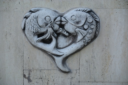 Fish heartの写真素材