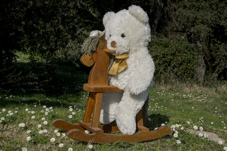 teddy bear and his horseの写真素材