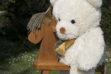 Teddy bear and his horseの写真素材