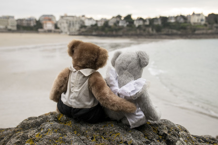 Teddy bear in loveの写真素材