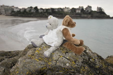Teddy bear in loveの写真素材