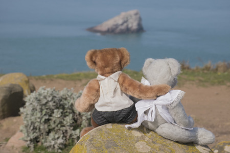 Teddy bear in loveの写真素材