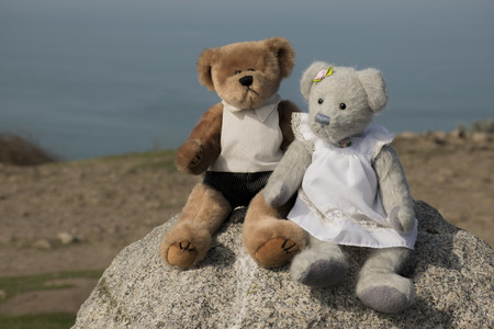 Teddy bear in loveの写真素材
