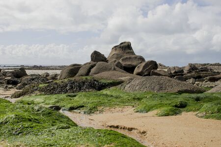 Low tideの写真素材