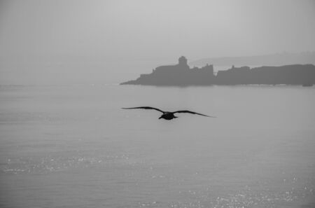 Fort la Latteの写真素材