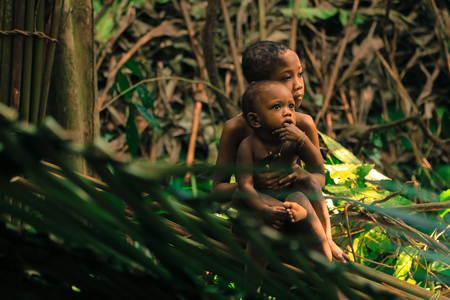 PATTHALUNG, THAILAND - DEC 13 , 2015 : The Negrito of Thailand. They are a saa-gai tribe who live peacefully in the dense and impenetrable forest. In the south of Thailand.のeditorial素材