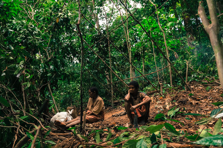 PATTHALUNG, THAILAND - DEC 13 , 2015 : The Negrito of Thailand. They are a saa-gai tribe who live peacefully in the dense and impenetrable forest. In the south of Thailand.のeditorial素材