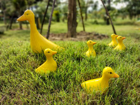 the group of yellow plastic ducks on the ground, on the green grass field at outdoor in the garden, under the big treesの写真素材