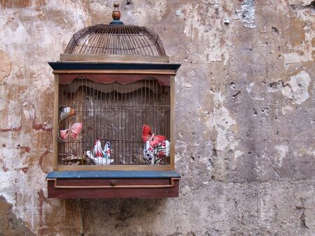 Vintage bird cage as a decoration outside old bookshop in Rome (Italy).の写真素材