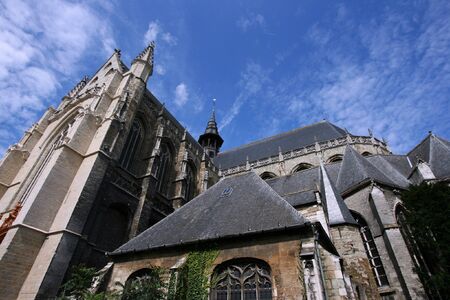 Saint Martin Church (Sint Martinus Kerk) in Aalst, Belgium. Taken with extremely wide angle lens.の写真素材