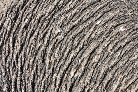 Igneous rock background. Solidified lava in Iceland, Thingvellir National Park.の写真素材