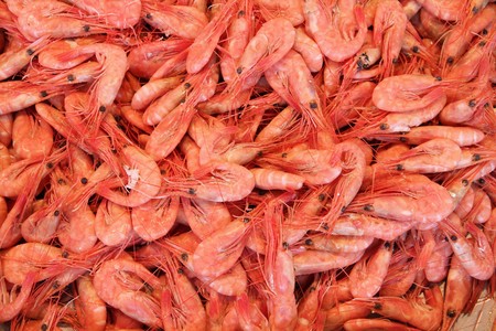 Shrimps at famous fish market (Fisketorget) in Bergen, Norway