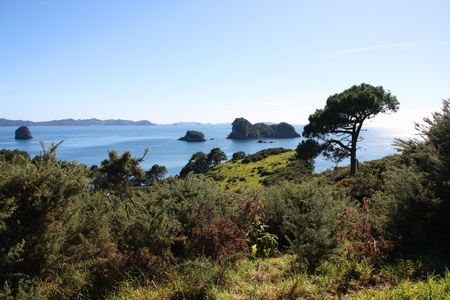 Native bush forest and rock islands at Coromandel peninsula. New Zealand, North Island.の写真素材