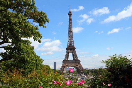 Paris, France - cityscape with Trocadero gardens and Eiffel Tower.
