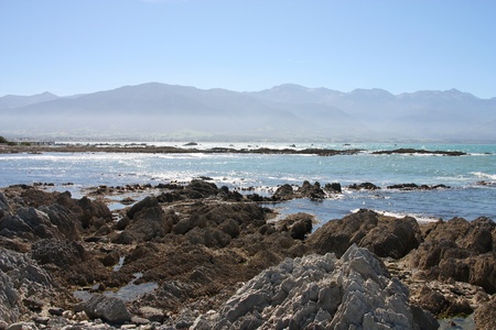Kaikoura, South Island of New Zealand. Beautiful coast.の写真素材