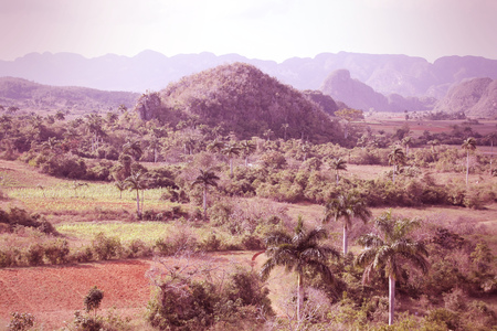 Cuba - famous mogotes karstic landscape in Vinales National Parkの写真素材