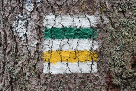 Poland - Tatra National Park in Tatra Mountains, part of Carpathian Mountains. Green and yellow hiking trail signs.の写真素材