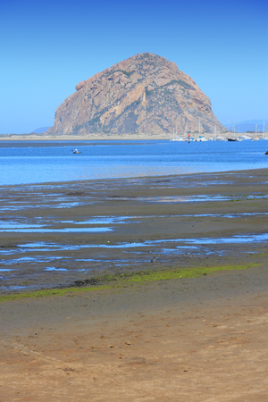 California, United States - Pacific coast view. Morro Bay State Park (San Luis Obispo county).の写真素材