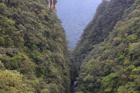 Brazil - jungle in Parana region. Marumbi mountains in Serra do Mar range. Rainforest canyon.の写真素材