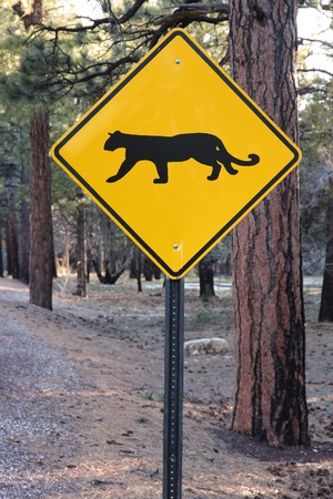 Grand Canyon National Park - road sign with cougar warning.の写真素材